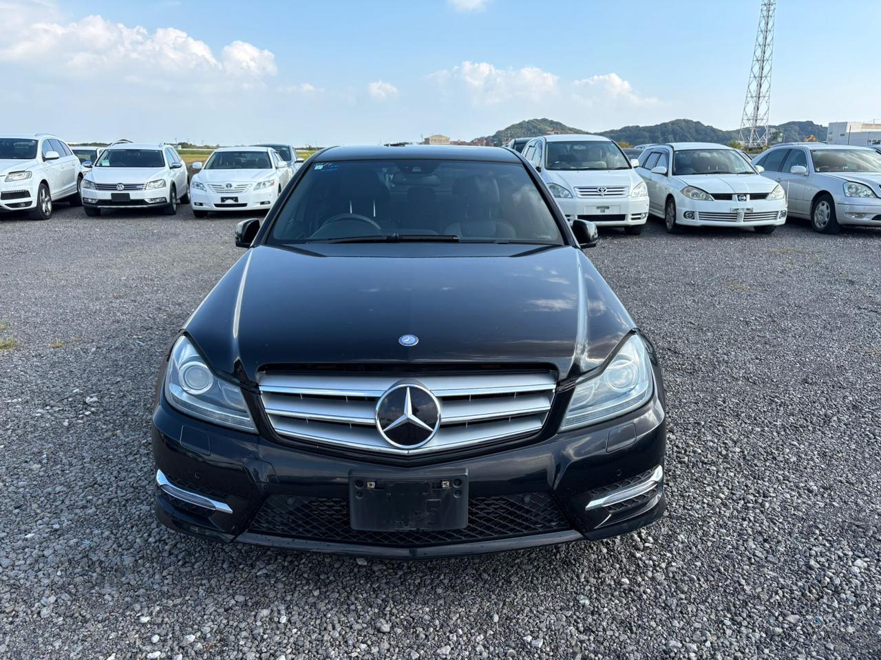 Mercedes-Benz C 200 W204 271.860 2010